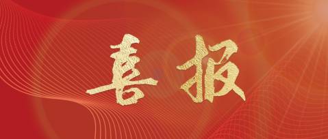 榮耀時(shí)刻 | 王江林董事長再獲“金圓桌獎”最具戰(zhàn)略眼光獎！